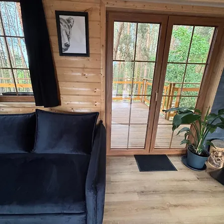 Forrest House Na Drzewie Niedaleko Suntago *