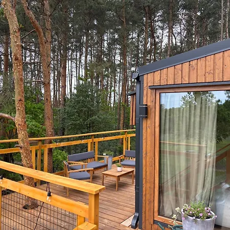 Forrest House Na Drzewie Niedaleko Suntago * Budy Mszczonowskie