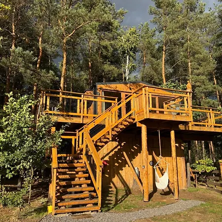 Σπίτι διακοπών Forrest House Na Drzewie Niedaleko Suntago Budy Mszczonowskie