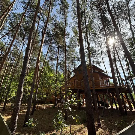 Forrest House Na Drzewie Niedaleko Suntago Budy Mszczonowskie