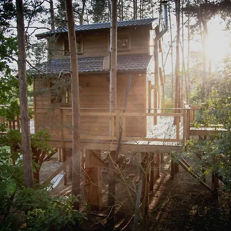 Forrest House Na Drzewie Niedaleko Suntago *