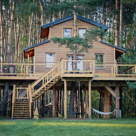 Forrest House Na Drzewie Niedaleko Suntago