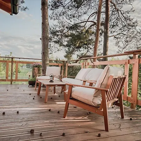 Forrest House Na Drzewie Niedaleko Suntago *