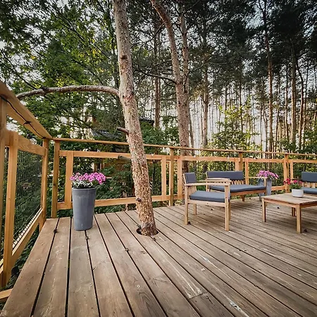 Forrest House Na Drzewie Niedaleko Suntago Budy Mszczonowskie