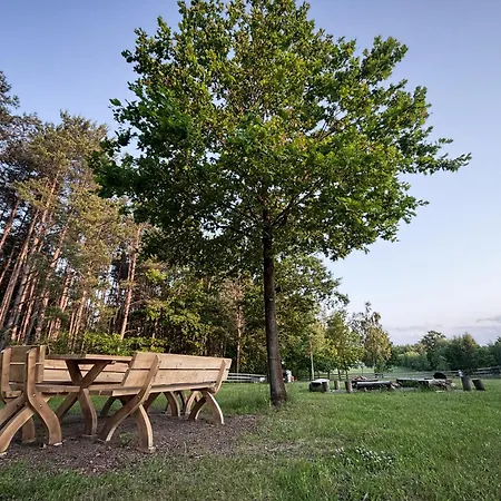 Σπίτι διακοπών Forrest House Na Drzewie Niedaleko Suntago *