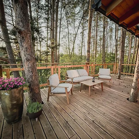 Forrest House Na Drzewie Niedaleko Suntago *